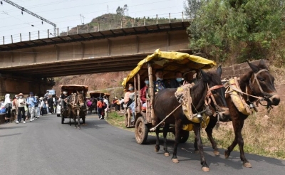 五一小长假，禄丰乡村旅游持续火爆