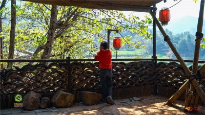 夏日避暑休闲去哪里？来楚雄体验高品质乡村游