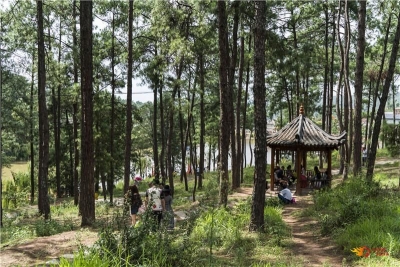 炎炎夏日，来楚雄紫溪山享受你的一日清凉
