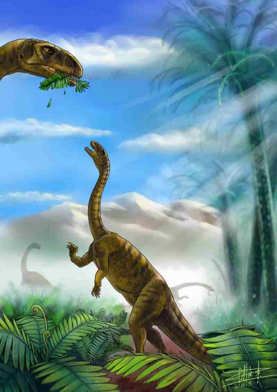 禄丰出土3岁恐龙幼体化石 不属任何已知属种
