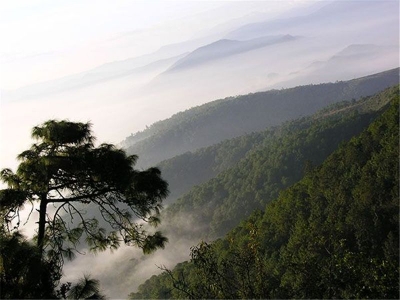 拒绝炎热，武定狮子山邀你游山玩水，清凉过一夏！
