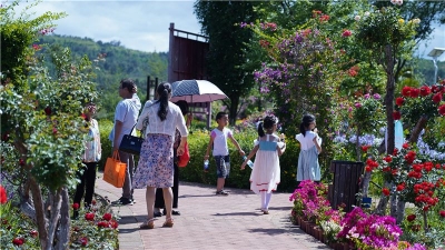 赏花亲水、荷塘野趣……楚雄东华湿地公园许你一个缤纷夏日