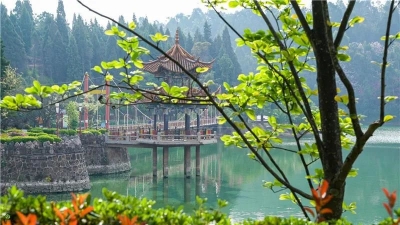 夏至已至丨楚雄美得正当时，快来邂逅清凉和美好！