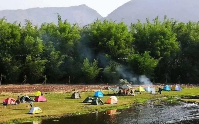 请签收！这封来自楚雄的绿色情书，让你心动一夏