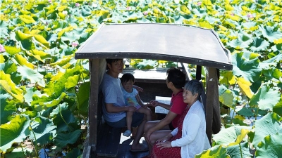 赏花亲水、荷塘野趣……楚雄东华湿地公园许你一个缤纷夏日