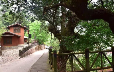 出游 | 夏日相约双柏李方村，清凉休闲  体验乡情