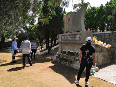 楚雄市：抓细节 重落实 城乡文化和文物安全工作常抓不懈