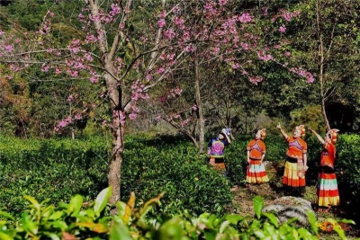 旅游 | 楚雄下半年最佳旅行时间表，出游达人必备！