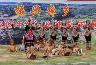 观看量73万+：云南省首场2021年全省“乡村村晚”示范展示活动线上直播在双柏县安龙堡乡举行