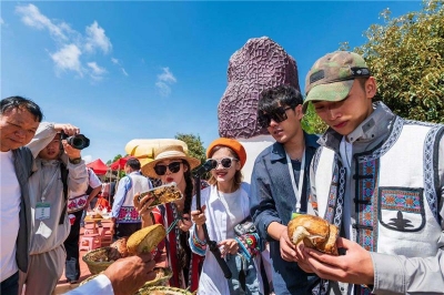 “云旅游”走进南华，领略“松茸之乡”魅力！
