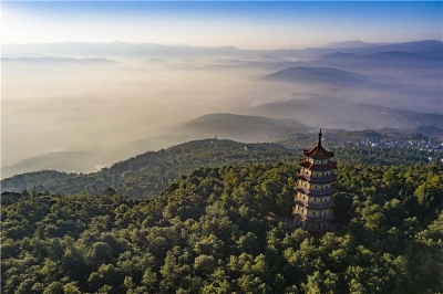 60元无限次畅玩！武定狮子山景区旅游年票开办啦