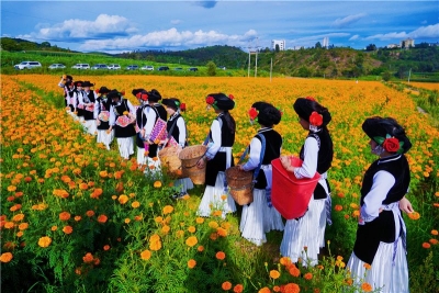 逛花田、游古村、泡温泉、尝美食！南华乡村两日游，Go！