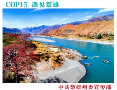 “滇中翡翠 生命摇篮”——COP15在长水遇见楚雄生物多样性图片展开展