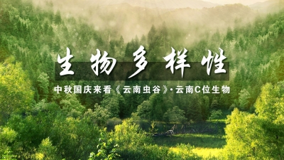  COP15 | 探秘《云南虫谷》中的神奇动植物