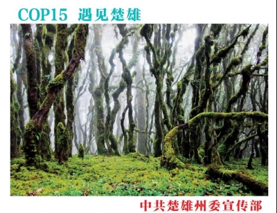 “滇中翡翠 生命摇篮”——COP15在长水遇见楚雄生物多样性图片展开展