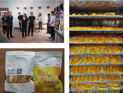 秋意渐浓！正好到永仁外普拉村走一走