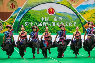 楚雄南华县学史力行办实事  文旅融合促发展