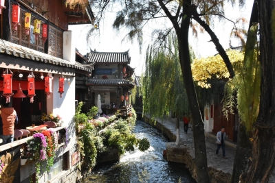 坐着高铁游云南丨“昆楚大丽”沿途美景美食无数！附旅游攻略