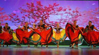 楚雄州双柏县优秀新剧（节）目专场演出举行  展现“虎乡”多彩文化