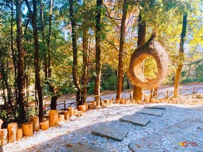 康养+旅游，冬游楚雄就选这条自驾线路