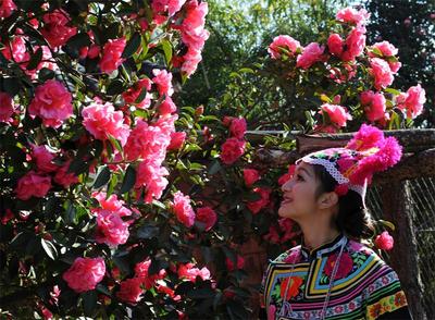 好玩！有趣！涨知识！优惠多！特色旅游线路带你游楚雄