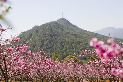 喜讯！楚雄新增4家国家3A级旅游景区