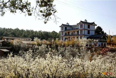 楚雄城郊这个村落又美又清静，一起去寻乡趣~