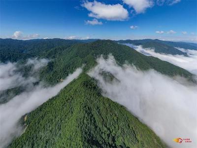 冬天来楚雄就对了！天然氧吧、洗肺胜地~