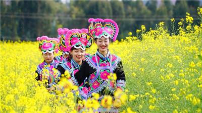 冬未尽，春已来！楚雄早春赏花计划可以安排起来了