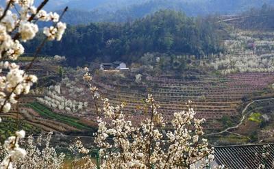 楚雄城郊这个村落又美又清静，一起去寻乡趣~