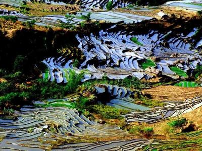 虎年到“虎乡”，双柏自驾游约起来！