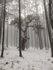 永仁方山邂逅2022年第一场雪！