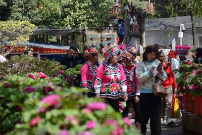 虎年春节，楚雄文旅市场亮点纷呈！