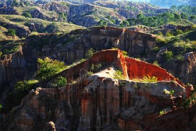 荒芜大地添新绿，元谋土林踏青正当时！