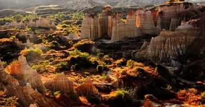 荒芜大地添新绿，元谋土林踏青正当时！