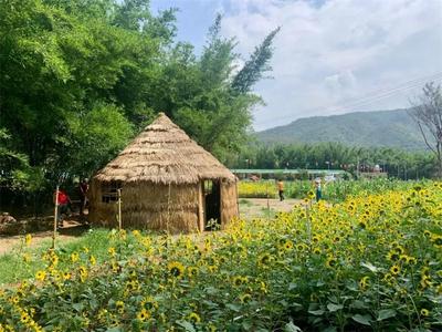 一波高颜值小村上线！快来遇见楚雄最美乡野春色