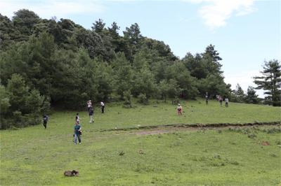 “乡约”楚雄！三条景色绝美的春游线路，带你体验乡村野趣