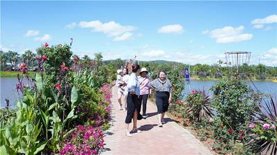 “乡约”楚雄！三条景色绝美的春游线路，带你体验乡村野趣