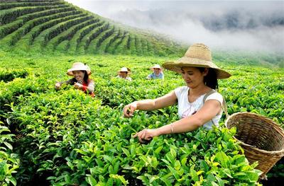 【云南人游楚雄】5条乡村旅游精品线路，值得收藏！