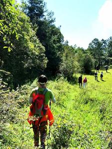 【云南人游楚雄】4月30日出发，到双柏白竹山徒步、采茶、制茶、品茶……