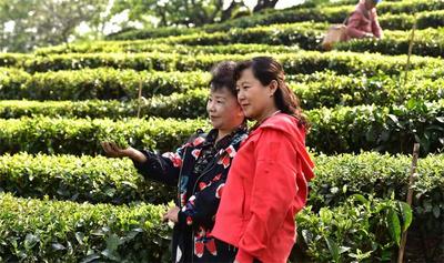 清明假期  楚雄州文旅市场安全平稳有序