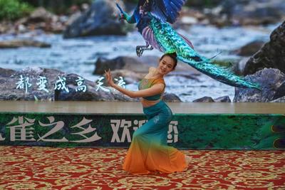 “中国•楚雄——绿孔雀之乡”品牌打造正式启动