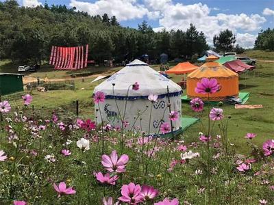 观云海星空，伴萤火虫鸣，这个大山里的露营地值得打卡！