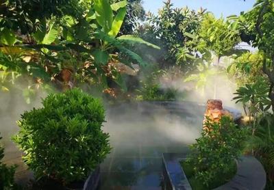 夏天就是要玩水！楚雄这些森林温泉，暑假安排上