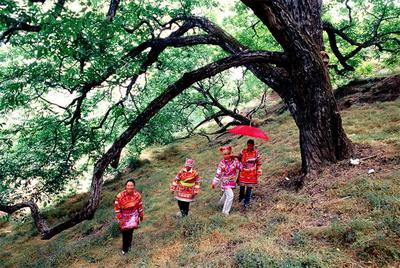 游云南 正当时 | 打卡大姚非遗旅游线路，开启文化探索之旅！