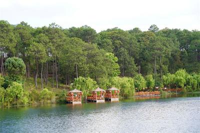 推荐！楚雄夏日休闲避暑好去处，附路线