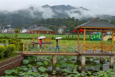 赏荷花、逛古镇，夏日清新美景尽在光禄！