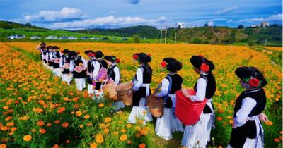 南华雨露有“八景”，一起来看！