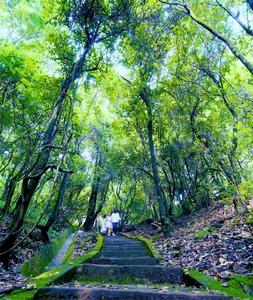 【聚焦旅交会 相约绿美楚雄】三条精品自驾游线路带您遇见好山好水好风光！