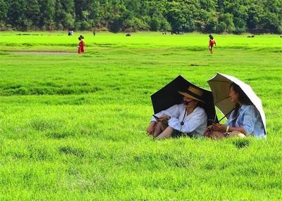 吃菌、赏花、泡温泉，开启南华“菌香风情”之旅！